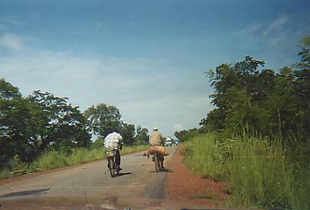 Viehtransport in Burkina